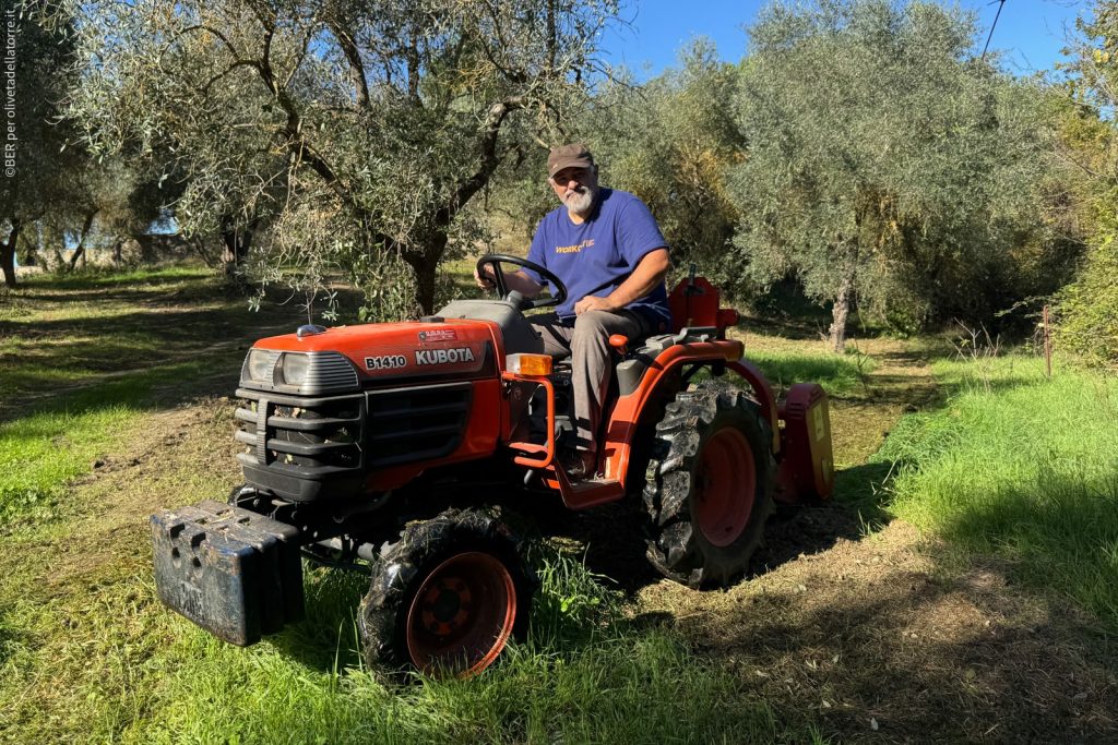 Beppe Russo sul tratttore nell'oliveto